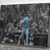 Bryce Harper walk-off Grand Slam Philadelphia Phillies Baseball Wall Art Home Decor Poster Canvas