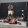 Muhammed Ali Wall Art Decor Poster Canvas