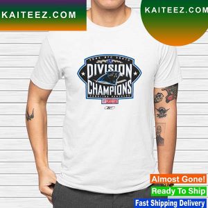 NFC south division champions Carolina Panthers playoff T-shirt