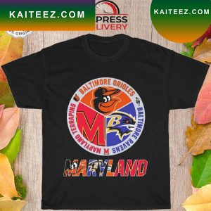 Baltimore ravens Baltimore orioles Baltimore terrapins maryland T-shirt