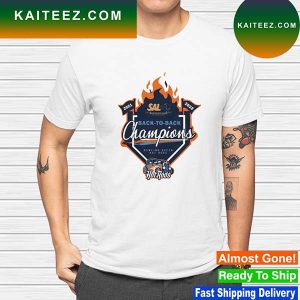 Bowling Green Hot Rods 2022 Hot Rods SAL League Champions T-shirt