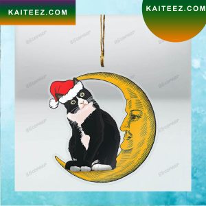 Cat On The Moon Christmas Ornament