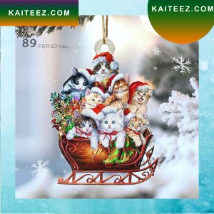 Cute Cats On The Sledge Christmas Holiday Two Sided Christmas Ornament