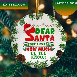 Dear Santa Bee I Explain How Much Do You Know Holiday Christmas 2022 Ornament