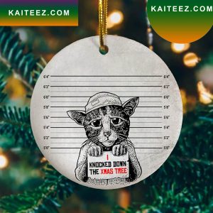 Funny Cat Mugshot Christmas 2022 Ceramic Ornament