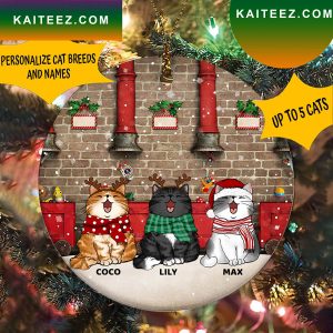 Funny Cat Personalized Christmas Ornament