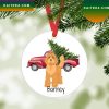 Kevin Mccallister Home Alone Merry Christmas Ya Filthy Animal Christmas Ornament