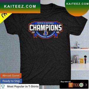 Milb Durham Bulls 2022 triple-a National Champions T-shirt