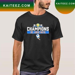 St lucie mets st lucie mets 2022 champions T-shirt