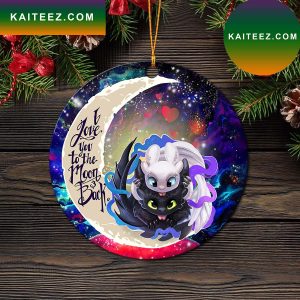 Toothless And Light Fury How To Train Your Dragon Love You To The Moon Galaxy Mica Circle Ornament Perfect Gift For Holiday