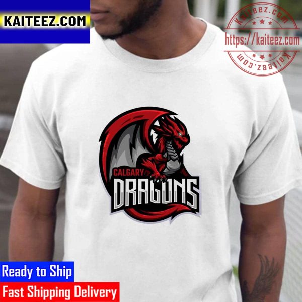 Calgary Dragons Simulation Hockey League Vintage T-Shirt