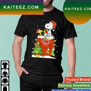 Snoopy And Woodstock Chicago Bears Merry Christmas T-shirt