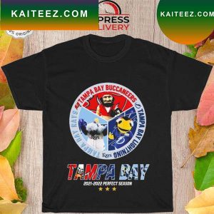 Tampa bay buccaneers tampa bay lightning tampa bay rays 2021 2022 perfect season T-shirt