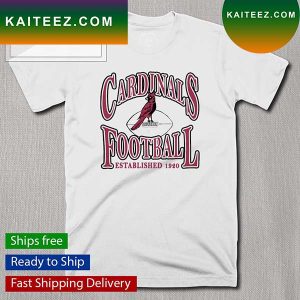 Arizona Cardinals Playability Established 1920 T-Shirt