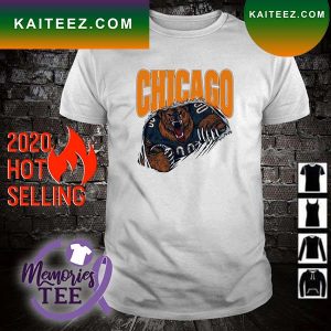Best chicago Bears windy city football bear mascot T-shirt