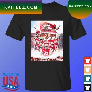Best in the west San francisco 49Ers 2022 NFC west Champions T-shirt