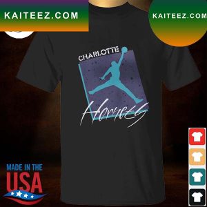 Charlotte Hornets jordan brand courtside max 90 vintage wash statement edition T-shirt