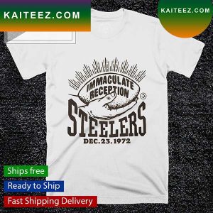 Immaculate Reception Steelers Dec 23 1972 T-shirt