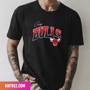 Men’s Chicago Bulls Pro Standard Black Hometown Chenille Fan Gifts T-Shirt