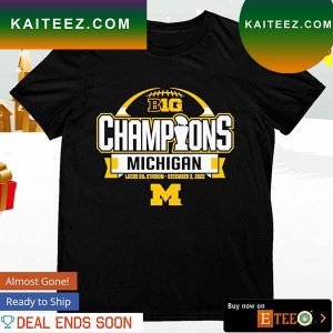 Michigan Wolverines 2022 Big Ten Football Conference Champions T-shirt