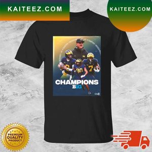 Michigan Wolverines Team Football 2022 Big Champions T-shirt