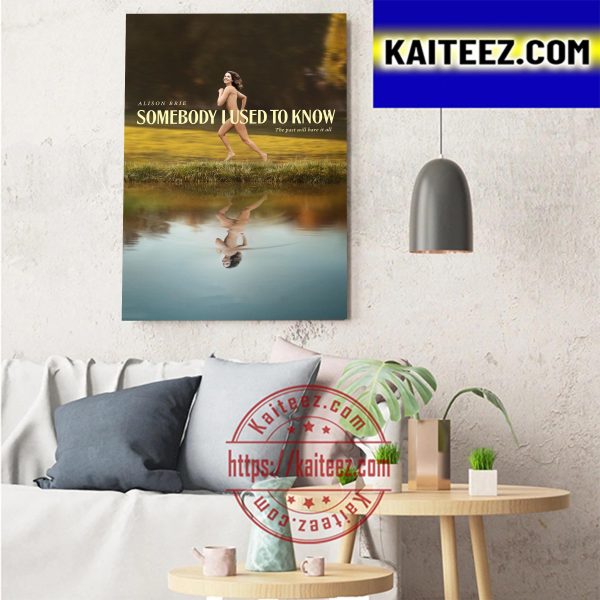 Alison Brie In Somebody I Used To Know Art Decor Poster Canvas