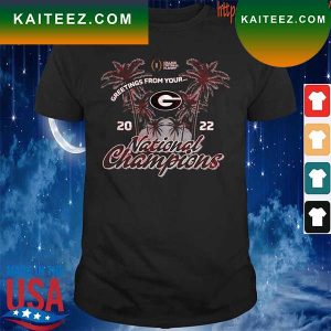 Georgia Bulldogs College Football Playoff 2022 National Champions Tri-Blend Modern T-Shirt