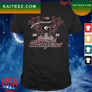 Georgia Bulldogs College Football Playoff 2022 National Champions Tri-Blend Modern T-Shirt