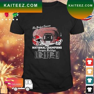 Georgia Bulldogs The Perfect Season 2022 National Champions T-shirt