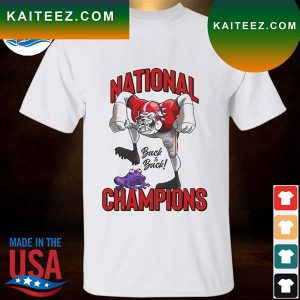 Georgia bulldogs 2022 2023 national champions back to back T-shirt