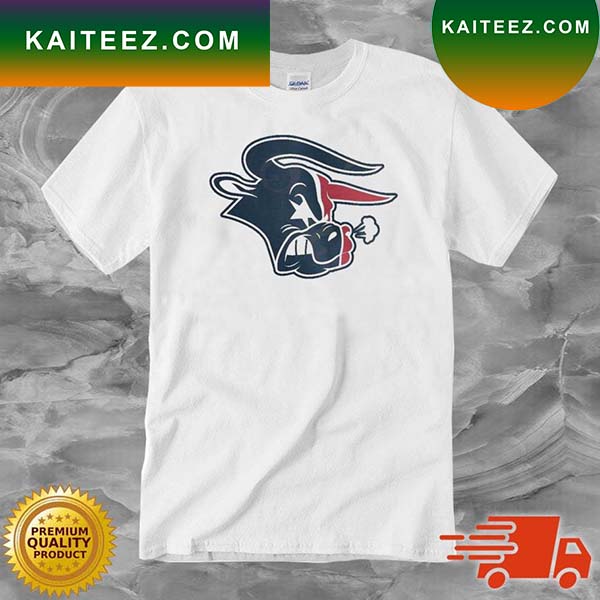 Houston Texans Bull Graphic T-shirt 