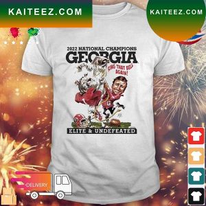 Official Georgia Bulldogs College Football Playoff 2022 National Champions Illustration T-shirt