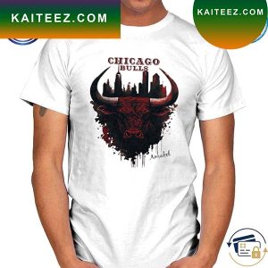 Original Chicago Bulls national basketball association T-shirt