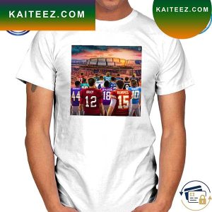 Premium Nfl playoffs T-shirt