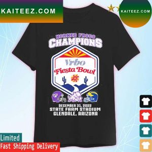 Tcu Horned Frogs Champions Fiesta Bowl december 31 2022 Arizona T-shirt