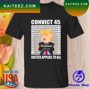 Donald Trump convict 45 no one is above the law T-shirt