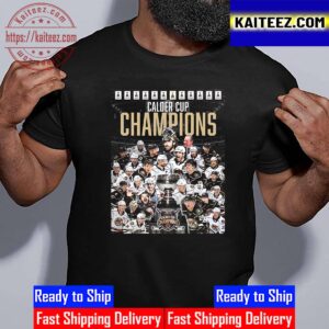Hershey Bears Are 2023 Calder Cup Champions Vintage T-Shirt