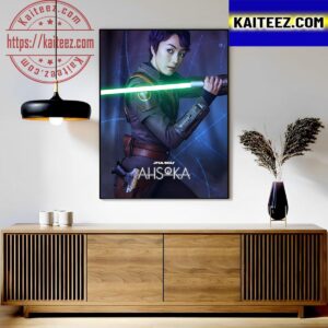 Natasha Liu Bordizzo As Sabine Wren In Star Wars Ahsoka Art Decor Poster Canvas