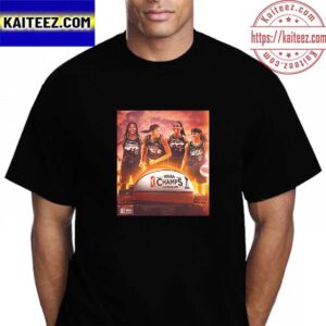 From SEC To 2023 WNBA Champions Vintage T-Shirt