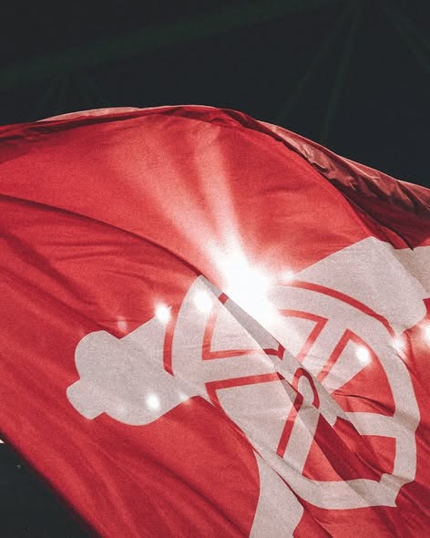 Champions Flag