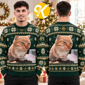 Smug Orange Cat Meme Forest Green Ugly Christmas Sweater